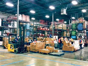 大溫地區食品浪費與饑荒困境 呼吁捐贈多余食品